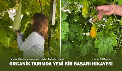 Bayburt Üniversitesi’nden Haylan Kabağı Hasadı, Organik Tarımda Yeni Bir Başarı Hikayesi