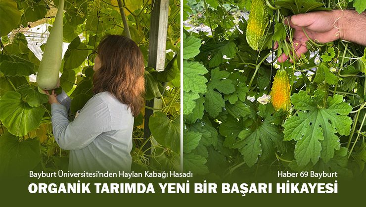 Bayburt Üniversitesi’nden Haylan Kabağı Hasadı, Organik Tarımda Yeni Bir Başarı Hikayesi